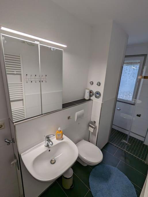 Ferienwohnung Elbaue Barby Εξωτερικό φωτογραφία